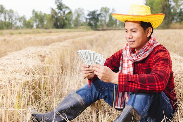 Asian farmer with rice stubble in the field