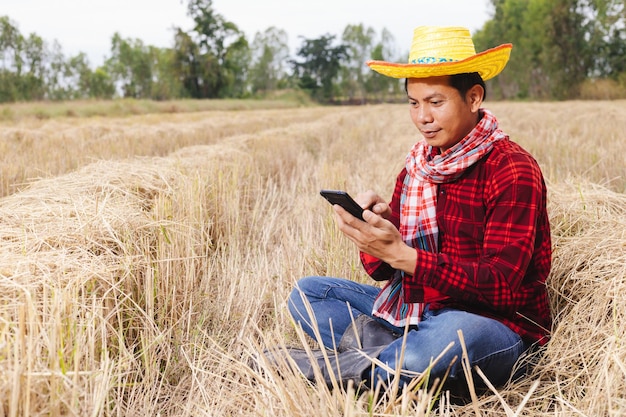 Asian farmer with rice stubble in the field