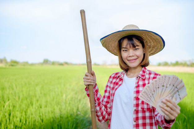 Asian female farmer in the rice field holding money