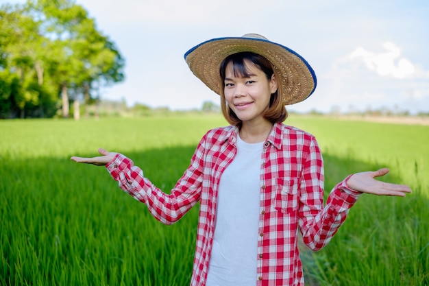 Asian female farmer in the rice field