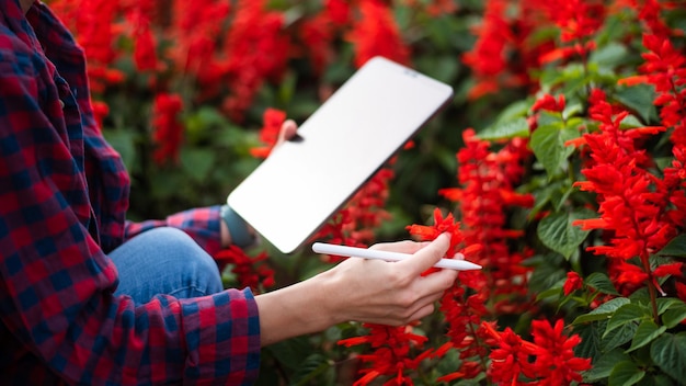 Asian Female farmer using digital tablet in flowerr field