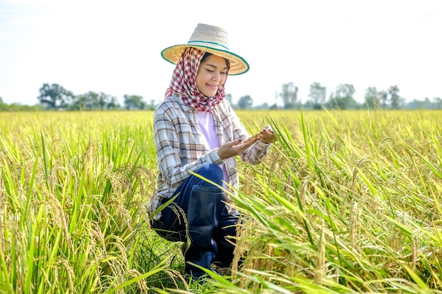 Asian female farmer wearing a striped shirt wearing a hat sitting and looking at the rice field with a smiling face