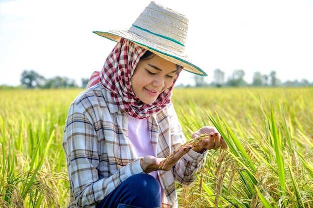 Asian female farmer wearing a striped shirt wearing a hat sitting and looking at the rice field with a smiling face