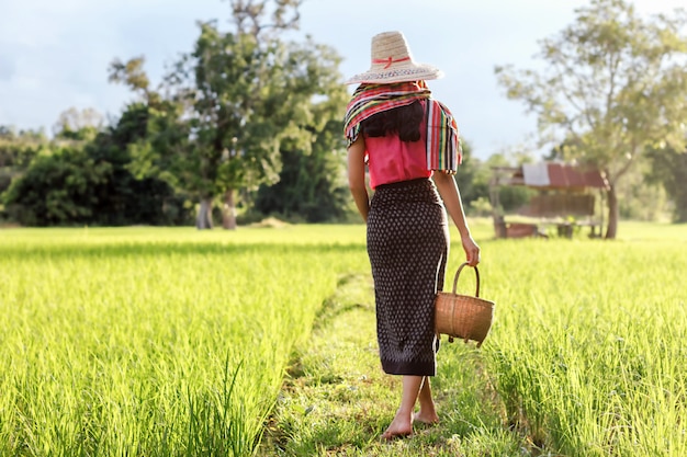 asian gardener girl in green rice field