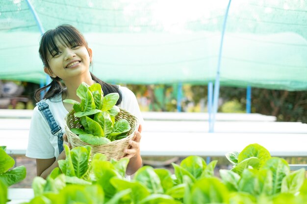 Asian girl picking vegetables in a hydroponic vegetable garden at her home.