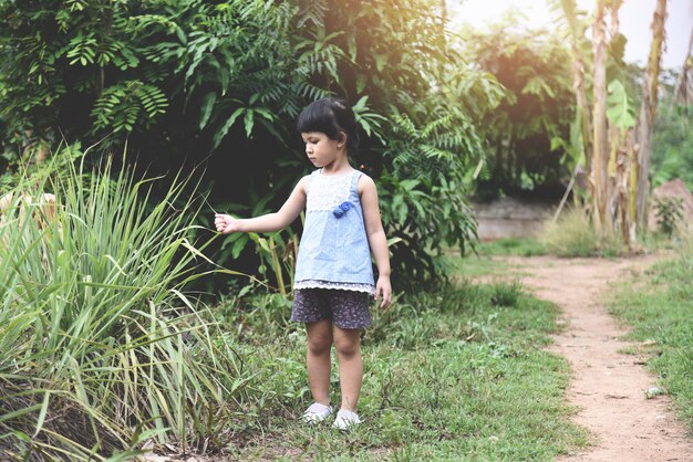 Asian kids girl little on nature agriculture farm