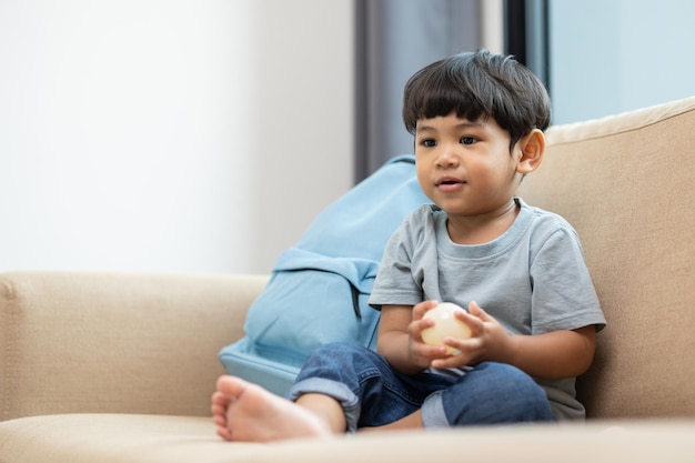 Asian little boy playing colorful ball in the living room Sitting on sofa in the house Developing childrens learning before entering kindergarten Practice the skills