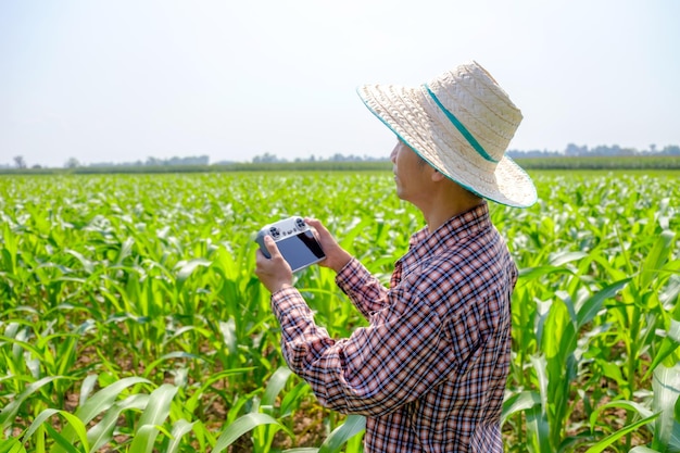 Asian male farmer in striped shirt piloting a drone at a corn field