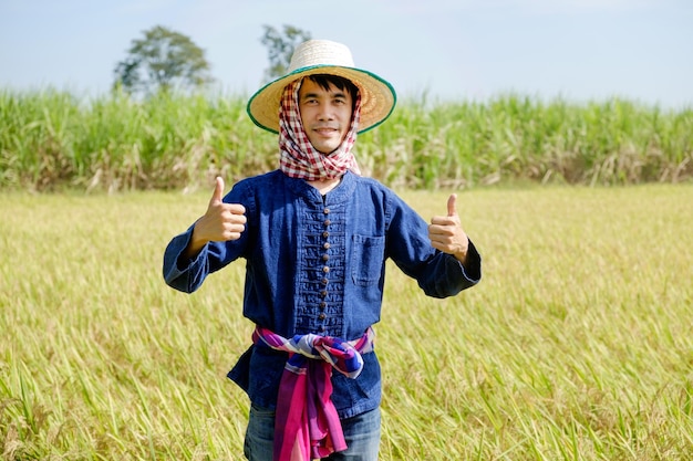 Asian male farmer wearing a blue shirt wearing a hat standing and posing thumb up with a smiling face at the rice field