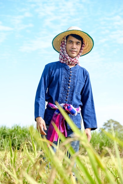 Asian male farmer wearing a blue shirt wearing a hat standing and posing with a smiling face at the rice field