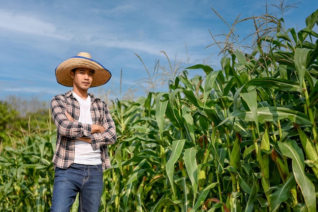 Asian male farmer working in his corn field