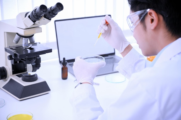 Asian male scientist experiment and adjust specimens in a Petri dish in the laboratory