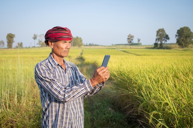 Asian man farmer with hand holding smart phone standing in rice farm cash subsidy concept