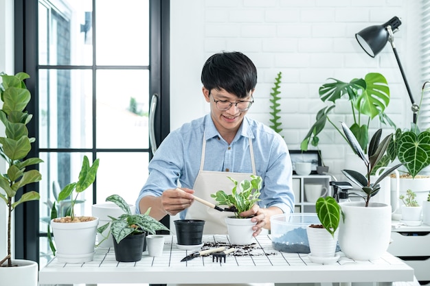 Asian man gardener using shovel to transplanting plant into a new pot and take care of plants in the room at home while hobby activity, Concept of home garden