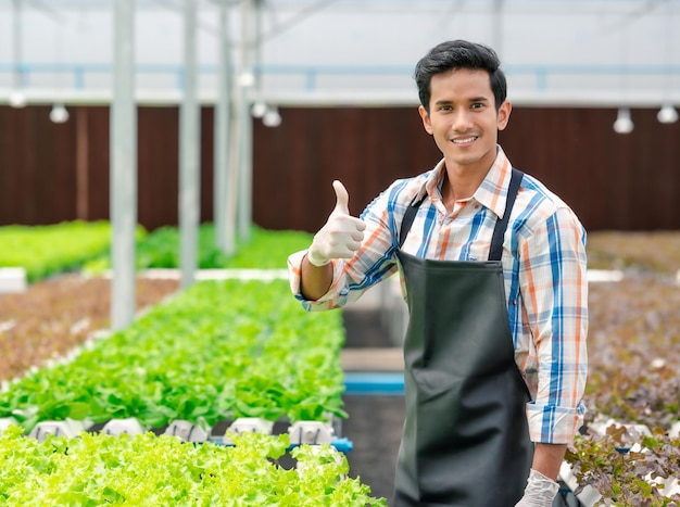 Asian man howing thumbs up in hydroponic farm