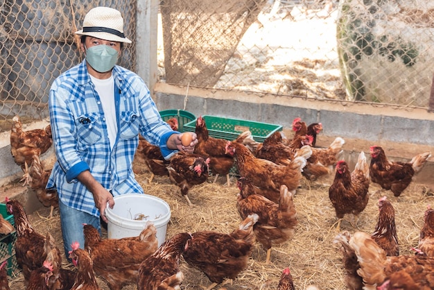 Asian man is collecting many fresh eggs Which is a product from the hens in the farm