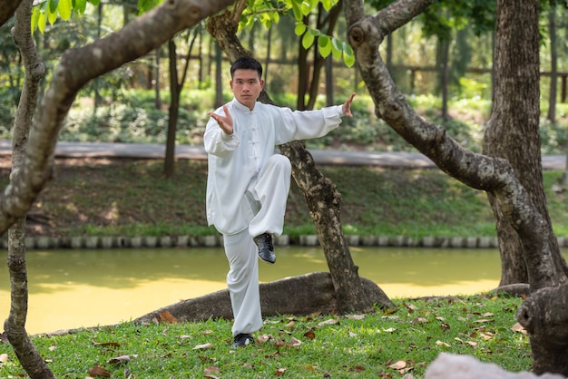 Asian man working out with Tai Chi in the morning at the park, Chinese martial arts