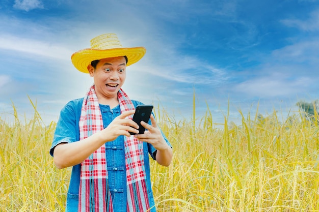 Asian peasants in robes and hats are in a field of golden rice fields