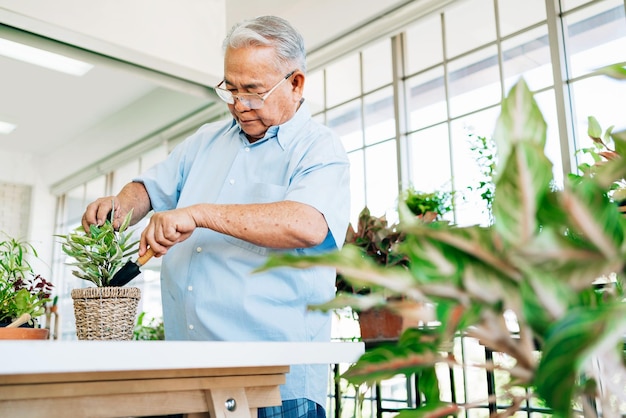 Asian retired grandfathers love to take care of the plants by scooping the soil in preparation for planting trees Retirement activities