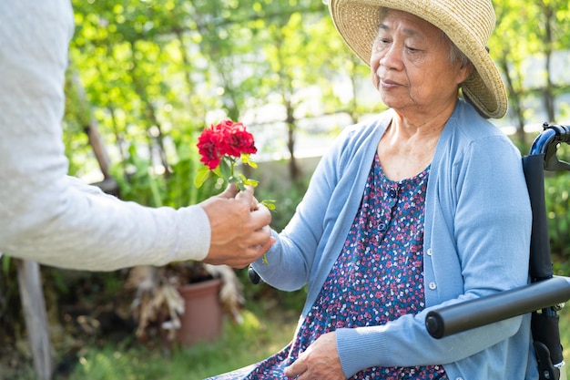 Asian senior or elderly old lady woman holding red rose flower smile and happy in the sunny garden