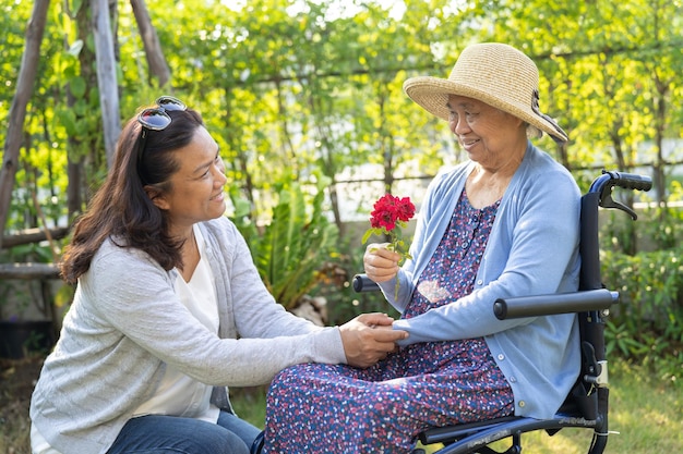 Asian senior or elderly old lady woman holding red rose flower smile and happy in the sunny garden