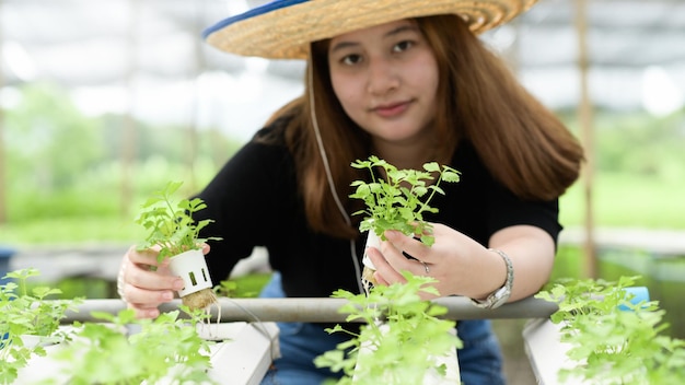 Asian teenage girl farmer showing hydroponics vegetables in greenhouse, smart farm.