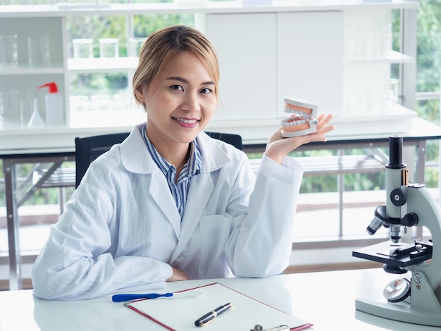 Asian woman dentist showing on a jaw model