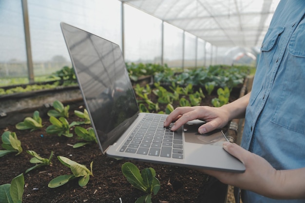 Asian woman farmer using digital tablet in vegetable garden at greenhouse Business agriculture technology concept quality smart farmer