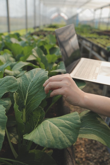 Asian woman farmer using digital tablet in vegetable garden at greenhouse Business agriculture technology concept quality smart farmer