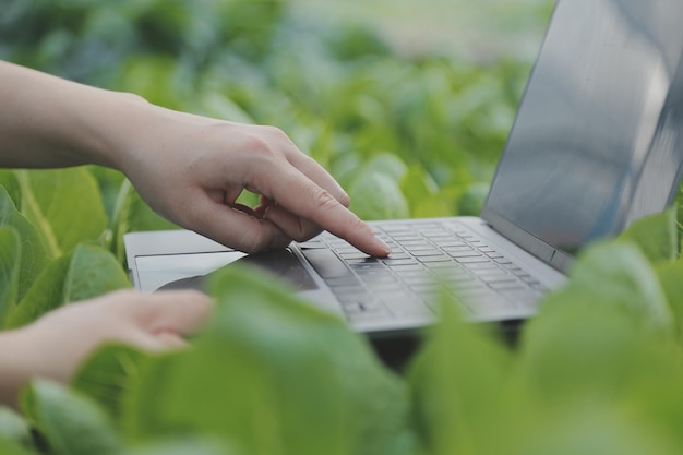 Asian woman farmer using digital tablet in vegetable garden at greenhouse Business agriculture technology concept quality smart farmer