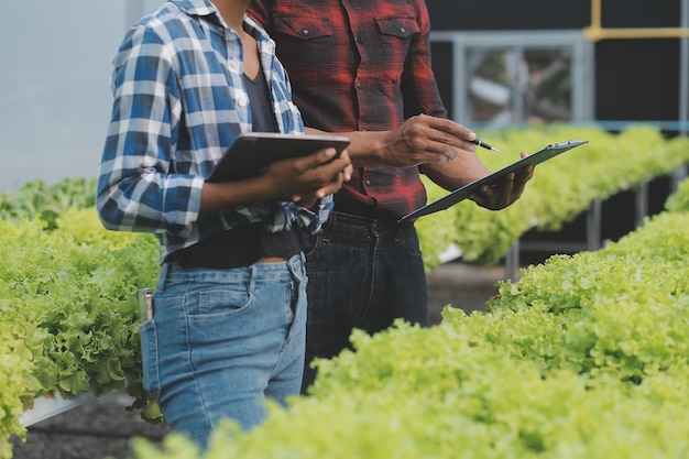 Asian woman farmer using digital tablet in vegetable garden at greenhouse Business agriculture technology concept quality smart farmer