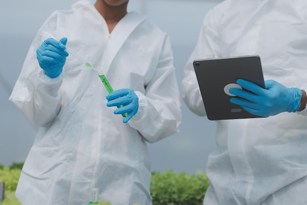 Asian woman farmer using digital tablet in vegetable garden at greenhouse Business agriculture technology concept quality smart farmer