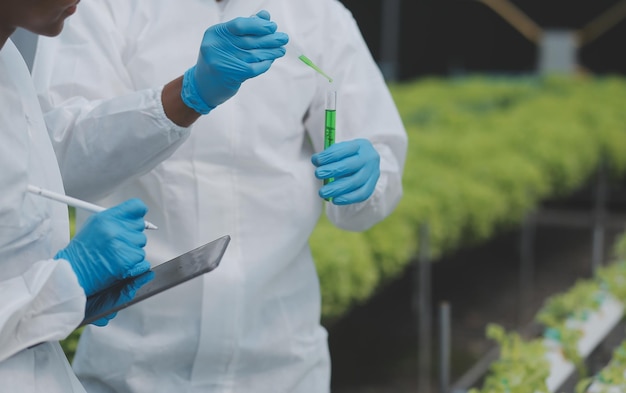 Asian woman farmer using digital tablet in vegetable garden at greenhouse Business agriculture technology concept quality smart farmer