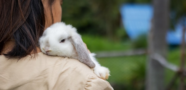 Asian woman holding and carrying cute rabbit with tenderness and love. Friendship with cute easter bunny. Happy rabbit with owner.