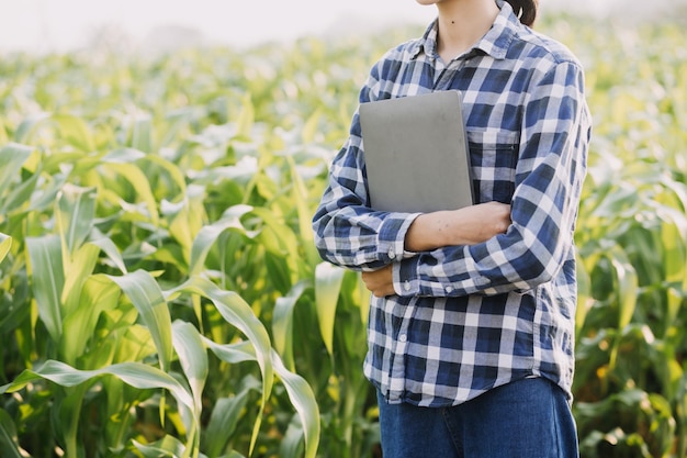 Asian woman and man farmer working together in organic hydroponic salad vegetable farm using tablet inspect quality of lettuce in greenhouse garden Smart farming