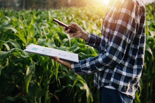 Asian woman and man farmer working together in organic hydroponic salad vegetable farm using tablet inspect quality of lettuce in greenhouse garden Smart farming