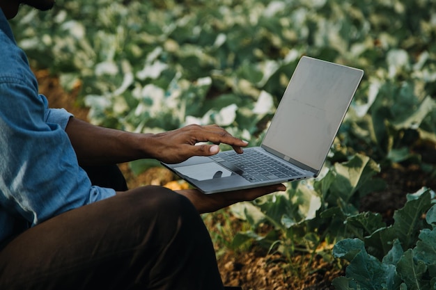 Asian woman and man farmer working together in organic hydroponic salad vegetable farm using tablet inspect quality of lettuce in greenhouse garden Smart farming