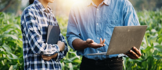 Asian woman and man farmer working together in organic hydroponic salad vegetable farm using tablet inspect quality of lettuce in greenhouse garden Smart farming