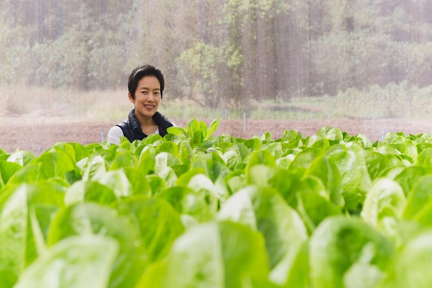 Asian woman owner standing in hydroponic organic vegetable farm