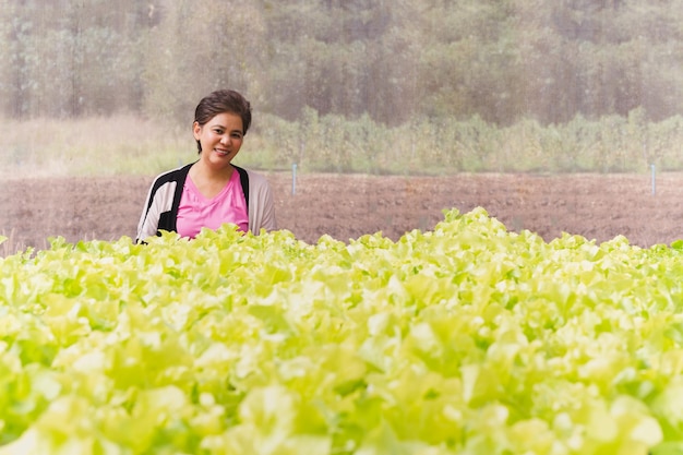 Asian woman owner standing in hydroponic organic