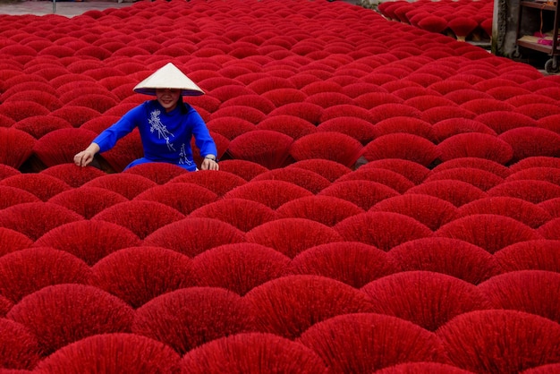 Asian woman in a traditional ao dai dress working for drying bundles of Incense sticks at Hanoi Vietnam