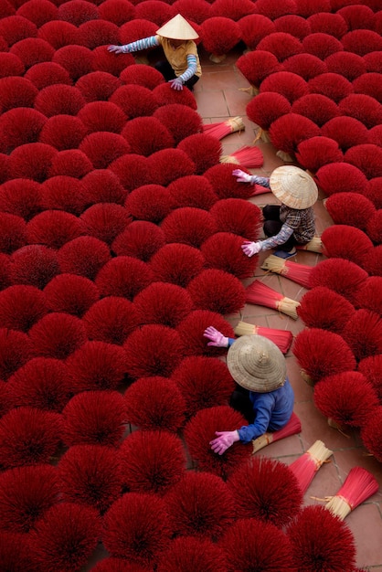 Asian woman in a traditional ao dai dress working for drying bundles of Incense sticks at Hanoi Vietnam