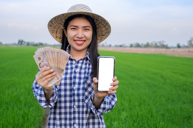 Asian young farmer woman smile face stand and holding Thailand banknote money with smartphone blank screen at green rice farm. Selective focus image