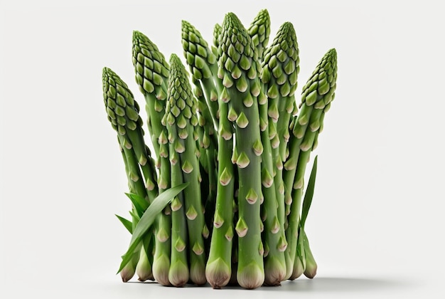 Asparagus isolated on white background generative ai