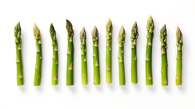 Asparagus on white background