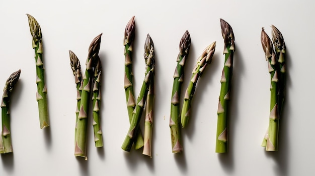 Asparagus on a white background