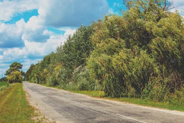 Asphalt country road on a sunny summer day