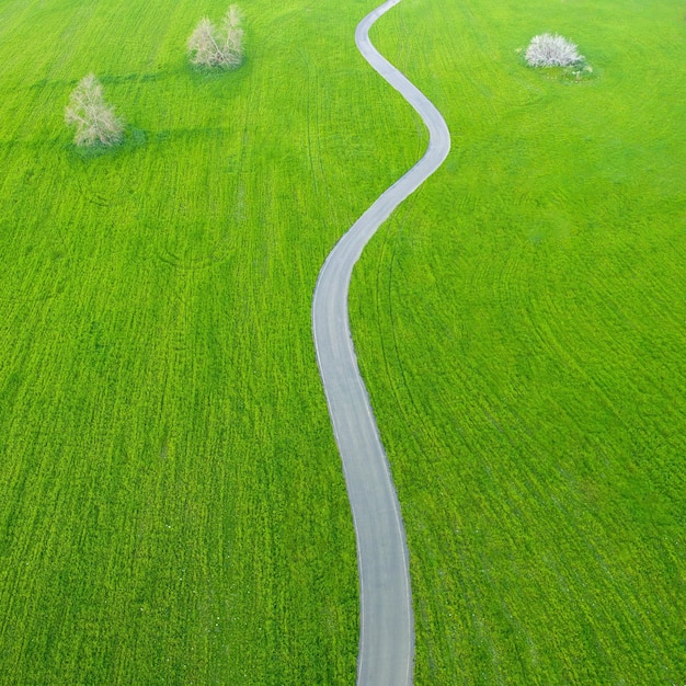 Asphalt countryside road winding through fields of green grass and trees minimalistic aerial landscape