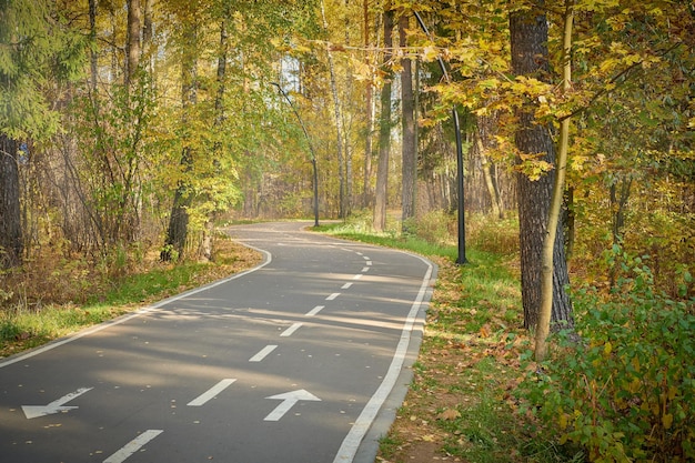 Asphalt footpath in fall park Curvy roadway in forest at national park in sunny day Roller skating road in forest Scenic autumn landscape of road through the park