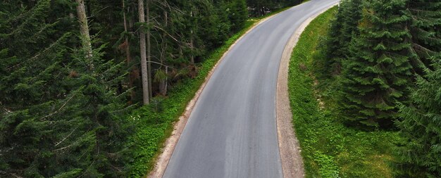 Asphalt mountain road road through the green pine forest Switzerland